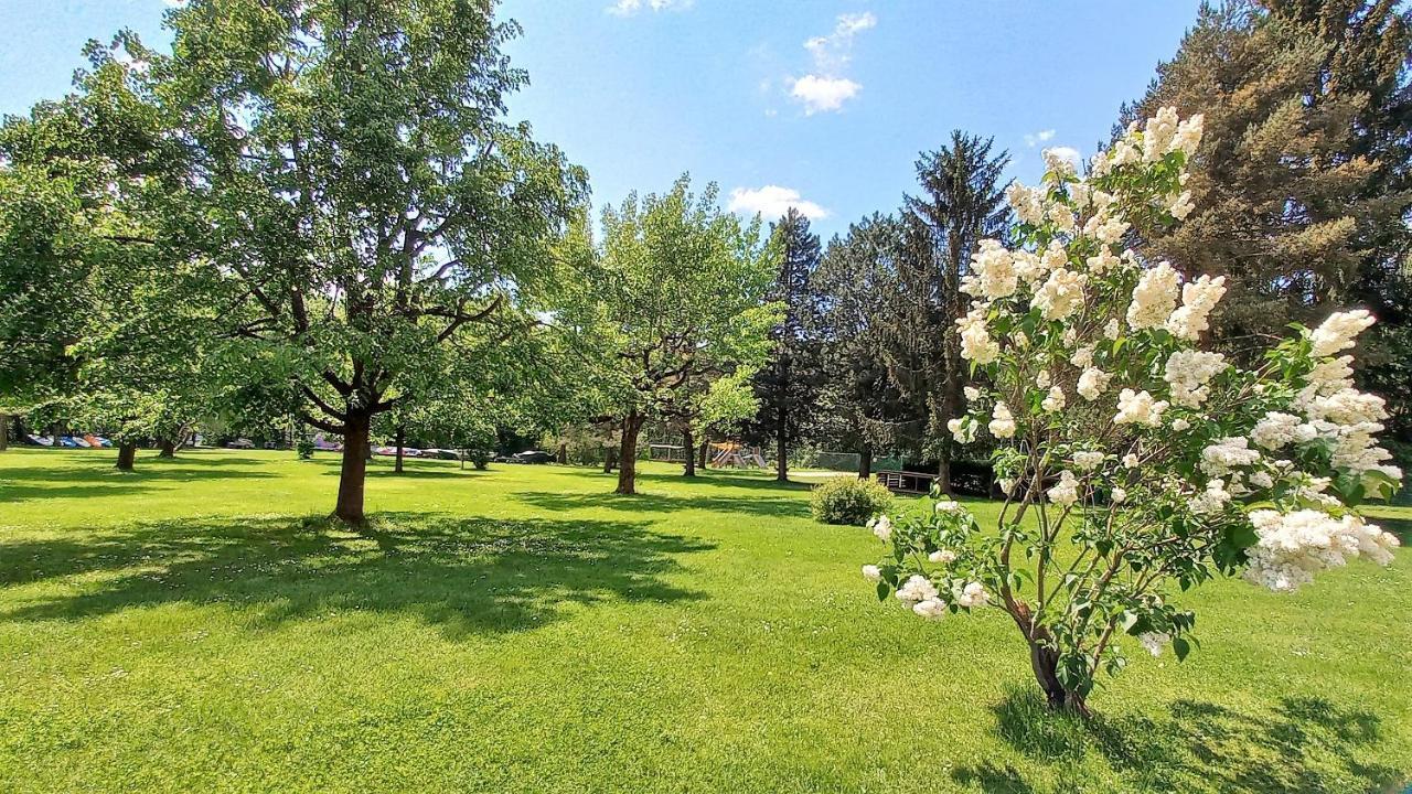 Kaspar Haus Kmb Seeblick Appartement Am Ossiacher See Mit Direktem Seezugang, Hallenbad بودينسدورف المظهر الخارجي الصورة